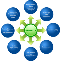 Benefits Of Bio-Mass White Coal
